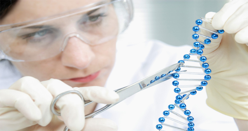 مهندس تغییر ژنتیک