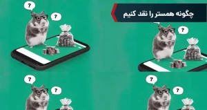 چگونه همستر را نقد کنیم