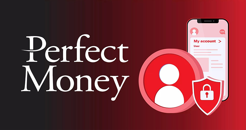 خرید مستقیم از سایت پرفکت مانی